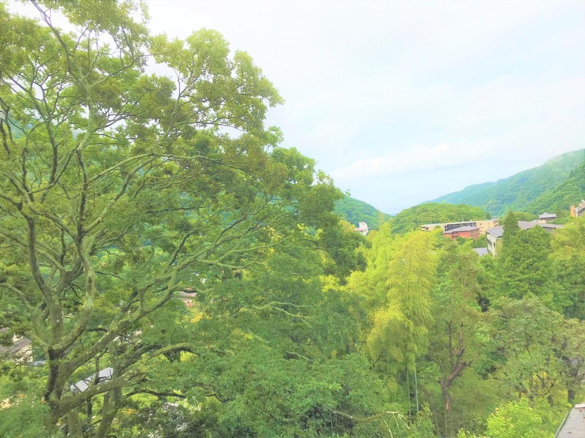 K'S House Hostels - Hakone Yumoto Onsen Camera foto